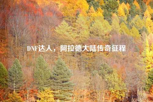 DNF达人，阿拉德大陆传奇征程