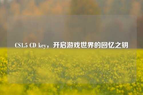 CS1.5 CD key，开启游戏世界的回忆之钥