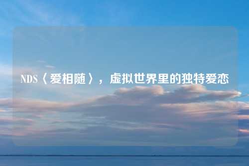 NDS〈爱相随〉，虚拟世界里的独特爱恋
