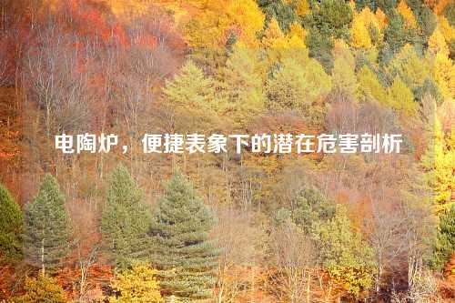 电陶炉，便捷表象下的潜在危害剖析