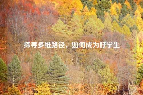 探寻多维路径,如何成为好学生