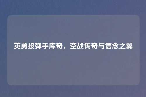 英勇投弹手库奇,空战传奇与信念之翼