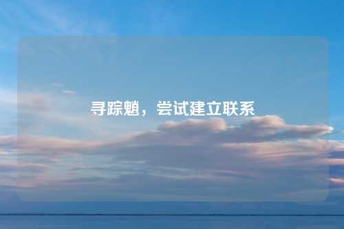 寻踪魈，尝试建立联系