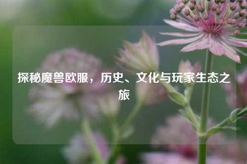 探秘魔兽欧服，历史、文化与玩家生态之旅