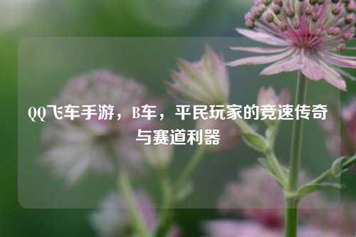 QQ飞车手游，B车，平民玩家的竞速传奇与赛道利器