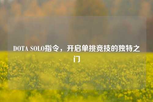 DOTA SOLO指令，开启单挑竞技的独特之门
