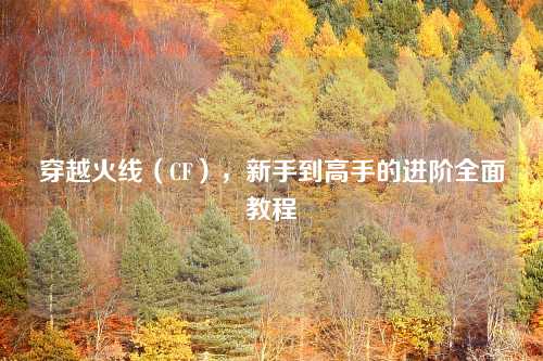 穿越火线（CF），新手到高手的进阶全面教程