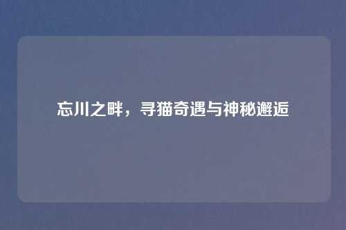 忘川之畔，寻猫奇遇与神秘邂逅
