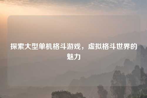 探索大型单机格斗游戏，虚拟格斗世界的魅力