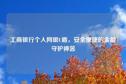 工商银行个人网银U盾，安全便捷的金融守护神器