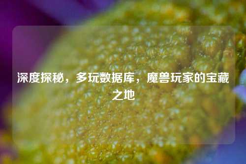 深度探秘，多玩数据库，魔兽玩家的宝藏之地