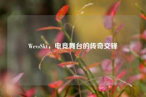 WevsSkt，电竞舞台的传奇交锋