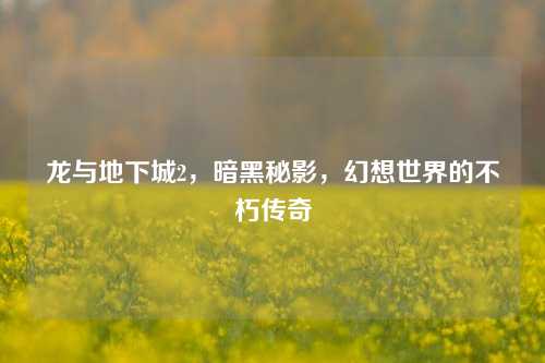 龙与地下城2，暗黑秘影，幻想世界的不朽传奇