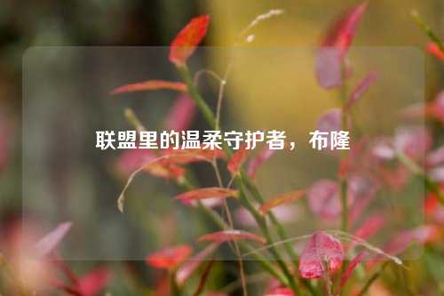 联盟里的温柔守护者，布隆