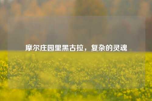 摩尔庄园里黑古拉，复杂的灵魂