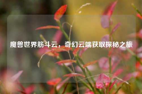魔兽世界筋斗云，奇幻云端获取探秘之旅