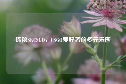 探秘SKCSGO，CSGO爱好者的多元乐园