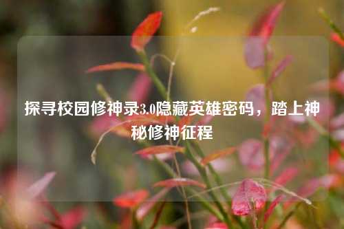探寻校园修神录3.0隐藏英雄密码，踏上神秘修神征程