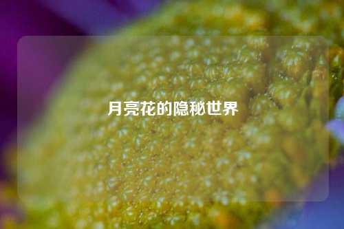 月亮花的隐秘世界