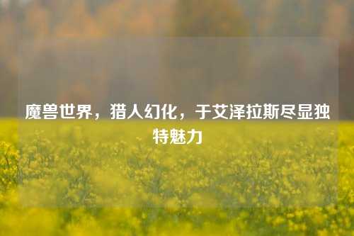 魔兽世界，猎人幻化，于艾泽拉斯尽显独特魅力