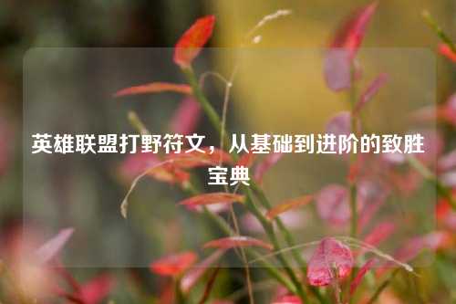 英雄联盟打野符文，从基础到进阶的致胜宝典
