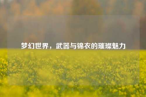 梦幻世界，武器与锦衣的璀璨魅力
