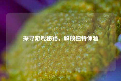 探寻游戏秘籍，解锁独特体验