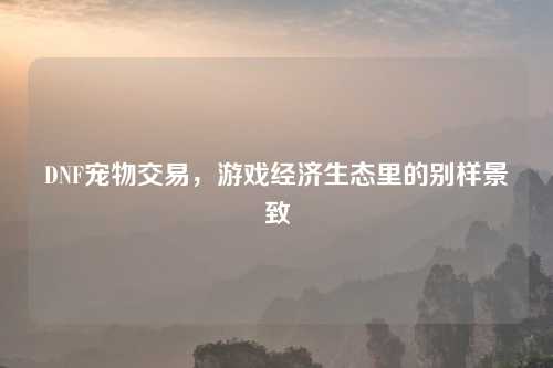 DNF宠物交易，游戏经济生态里的别样景致