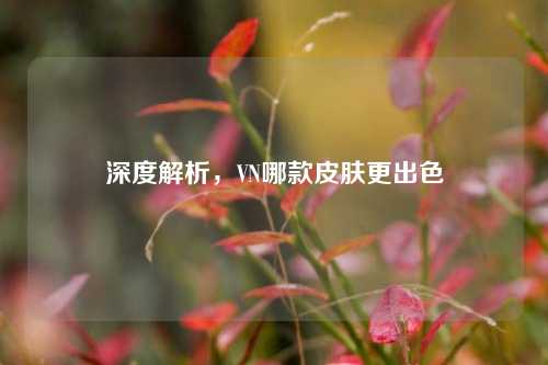 深度解析，VN哪款皮肤更出色