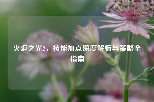 火炬之光2，技能加点深度解析与策略全指南
