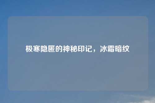 极寒隐匿的神秘印记，冰霜暗纹