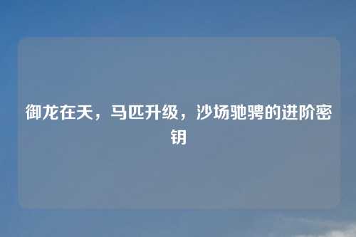 御龙在天，马匹升级，沙场驰骋的进阶密钥