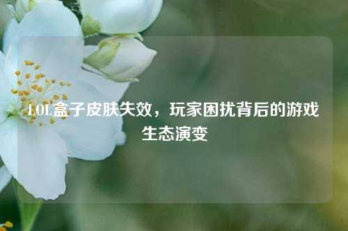 LOL盒子皮肤失效，玩家困扰背后的游戏生态演变