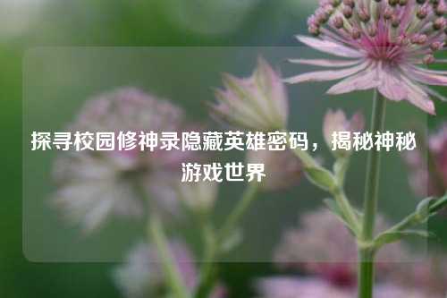 探寻校园修神录隐藏英雄密码，揭秘神秘游戏世界
