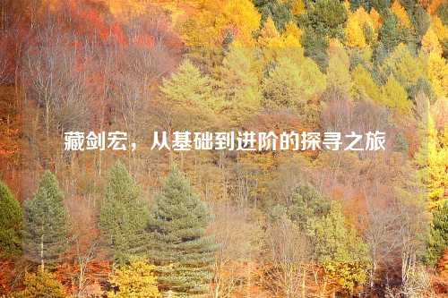 藏剑宏，从基础到进阶的探寻之旅