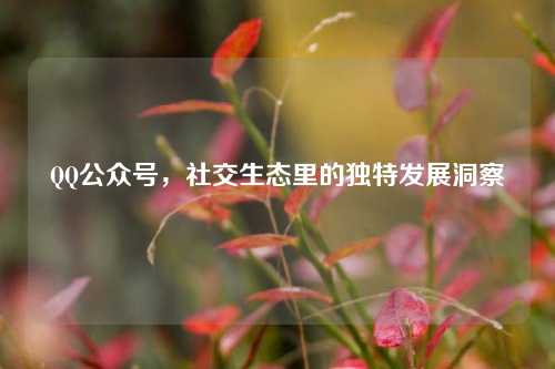 QQ公众号，社交生态里的独特发展洞察