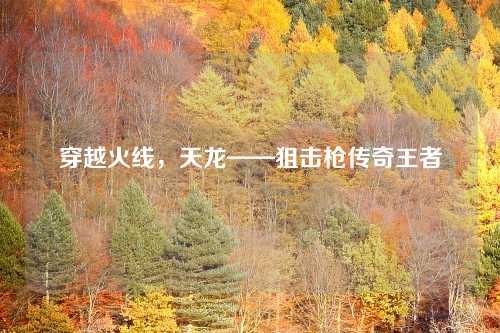 穿越火线，天龙——狙击枪传奇王者