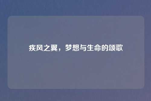 疾风之翼，梦想与生命的颂歌