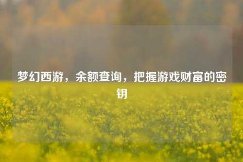 梦幻西游，余额查询，把握游戏财富的密钥