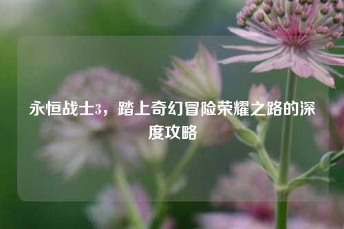 永恒战士3，踏上奇幻冒险荣耀之路的深度攻略