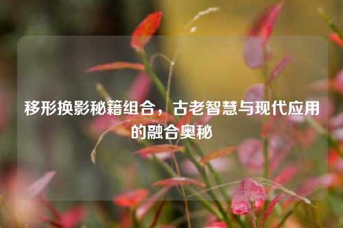 移形换影秘籍组合，古老智慧与现代应用的融合奥秘