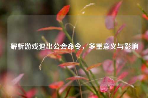 解析游戏退出公会命令，多重意义与影响