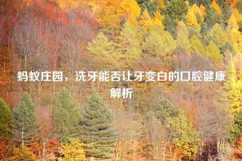 蚂蚁庄园，洗牙能否让牙变白的口腔健康解析