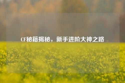 CF秘籍揭秘，新手进阶大神之路