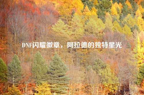 DNF闪耀徽章，阿拉德的独特星光