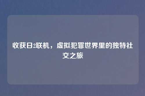 收获日2联机，虚拟犯罪世界里的独特社交之旅