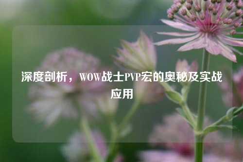 深度剖析，WOW战士PVP宏的奥秘及实战应用