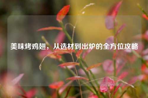 美味烤鸡翅，从选材到出炉的全方位攻略