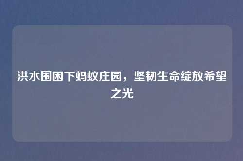 洪水围困下蚂蚁庄园，坚韧生命绽放希望之光