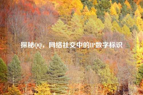 探秘QQ，网络社交中的IP数字标识